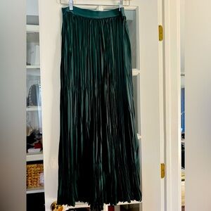 NWT “Unsubscribed” Forest Green pleat skirt. Size Medium